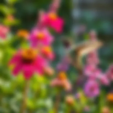 Hummingbird-Friendly Garden Garden with a variety of hummingbird-friendly plants