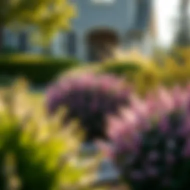 Landscape design plan incorporating various fragrant shrubs