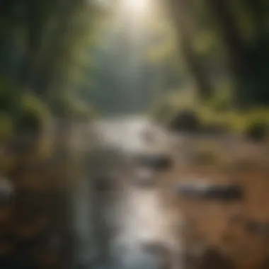Serenity and Simplicity in Nature