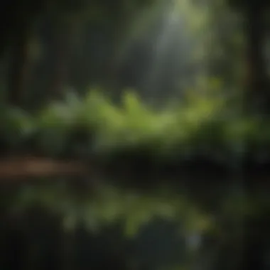 Spectacular Exotic Greenery Reflection Exotic Greenery Reflection
