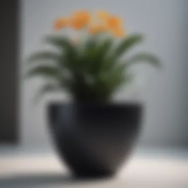 Sleek and modern black outdoor flower pot against a white backdrop