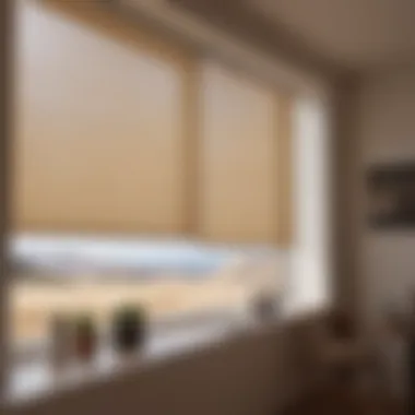 Minimalist Roller Shades Sleek roller shades in minimalist design
