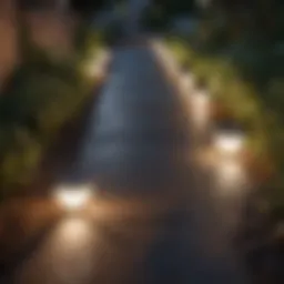 Sleek Solar Pathway Lights