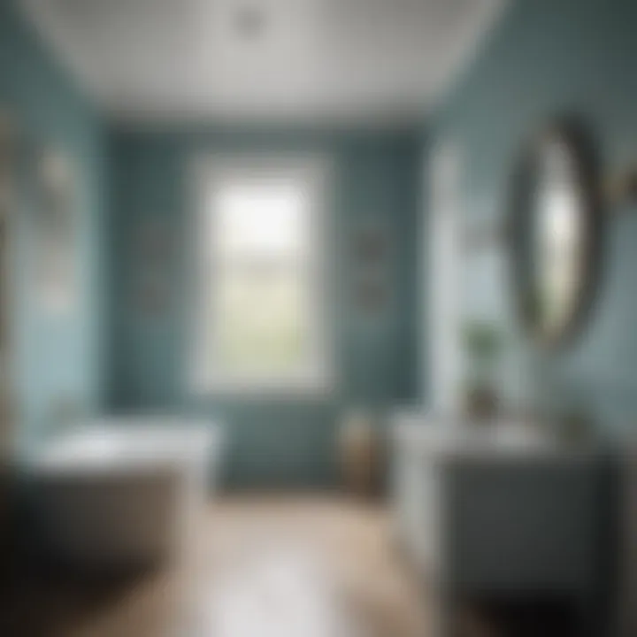 Soothing Serenity Bathroom Paint Color