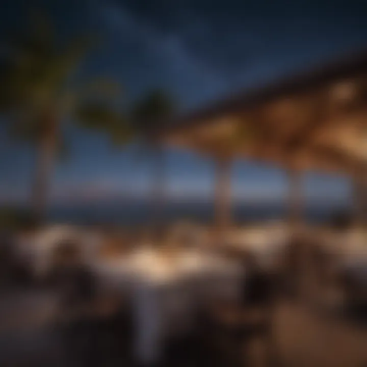 Gourmet dining experience under twinkling starlit sky