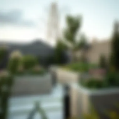 Contemporary Stone Raised Garden Stylish stone raised garden in a contemporary outdoor setting