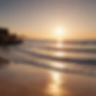 Sun-kissed Horizon Sun-kissed Horizon