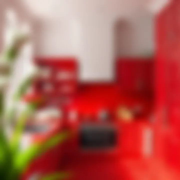 Red Kitchen Maintenance Tips Illustrated Maintenance tips illustrated alongside a beautifully painted red kitchen