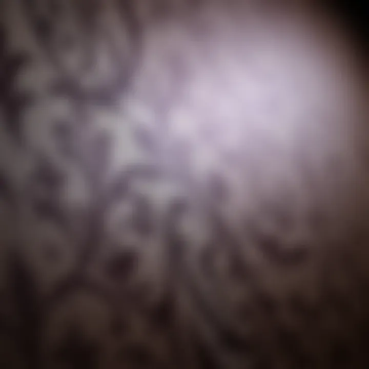 Detailing in Design: The Beauty of Wallpaper Close-up of intricate wallpaper patterns