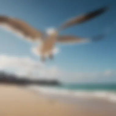 Seagulls Soaring Against Azure Sky