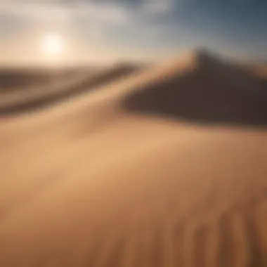 Sun-kissed Sand Dunes