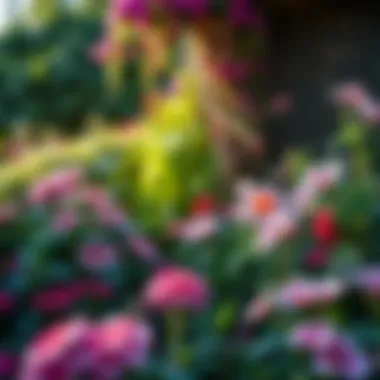 Lush garden corner featuring an array of flowering plants for shade