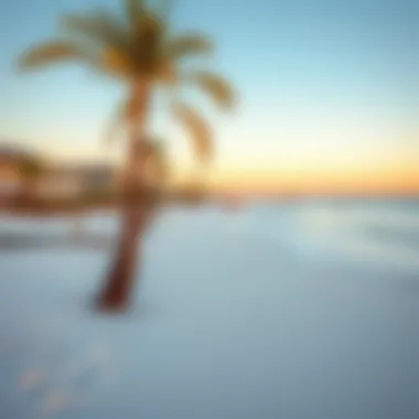 Serene beach scene in Florida during spring.