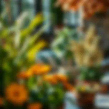 Landscaping with Flowering Plants Elegant landscaping featuring flowering plants enhancing outdoor living spaces