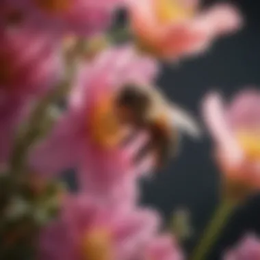 Bee Collecting Nectar Close-up of a bee collecting nectar from a vibrant flower