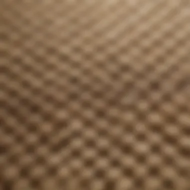 The Intricacies of Grasscloth Texture A close-up view of textured grasscloth paper showcasing its intricate weaves and natural fibers.