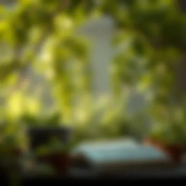 The Well Gardened Mind: Cultivating Intellectual Growth Summary The Well Gardened Mind: Cultivating Intellectual Growth Summary