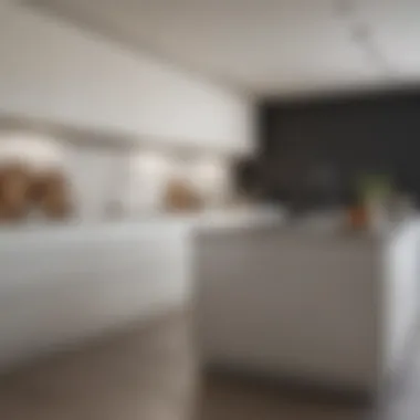 Minimalist kitchen with white cabinets and neutral paint