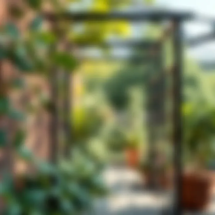 Modern metal trellis featuring geometric design