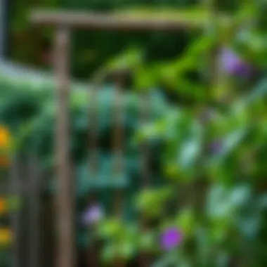 Rustic trellis integrated into a lush garden setting