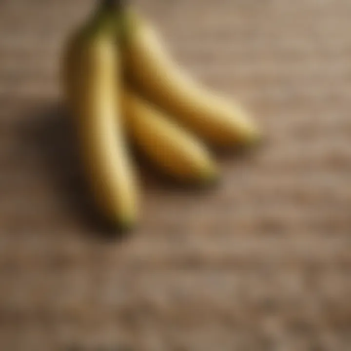 Close-up Detail of Stylish Ruggable Banana Rug Texture