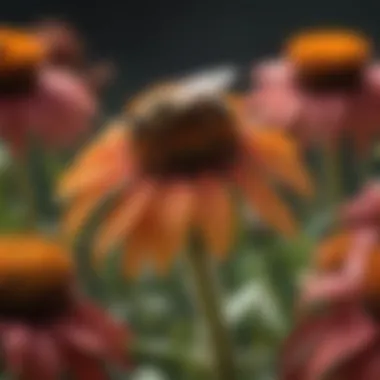 Vibrant Coneflowers Drawing in Bees