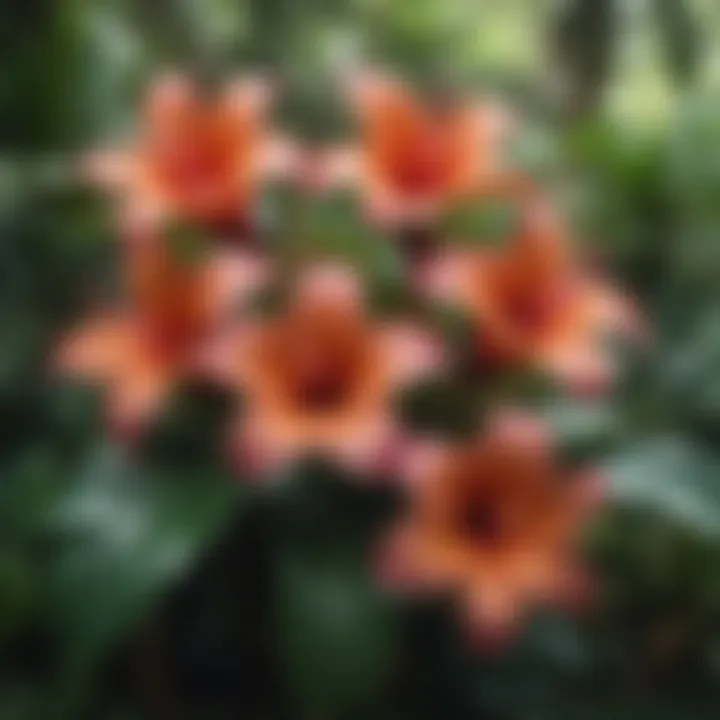 Exotic tropical flowers blooming in vivid colors against a backdrop of emerald foliage