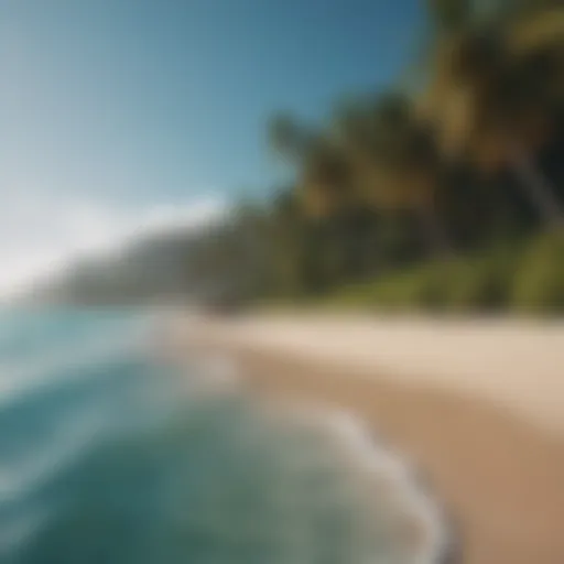 A serene beach with turquoise waters and palm trees swaying in the gentle breeze.